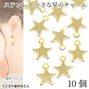 【最大500円OFF】5のつく日限定クーポン!チャーム ステンレス プレート 約8×8.5mm 10個 ミニスター 小さな メタルチャーム ゴールド色 アクセサリーパーツ うさぎの素材屋さん ハンドメイド パーツ 宇宙雑貨