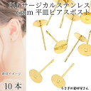 【当店さらにP+5倍!】本日限定最大1,000円クーポン!サージカルステンレス 316ステンレス ピアス パーツ 6mm 平皿 10本 ゴールド色 アレルギー対...