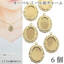 【最大2000円OFF】マラソン限定クーポン!ミール皿 楕円 チャーム 約25×21mm 6個 レジン アクセサリー パーツ アンティーク調 オーバル レジン土...