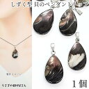 【最大2000円OFF】マラソン限定クーポン!シェル チャーム しずく 23mm〜25mm程度 1個 ドロップ シェルチャーム 金具付き 貝チャーム ティアドロ...