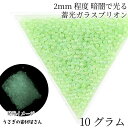ガラスブリオン 暗闇で光る 蓄光 つぶつぶ 2mm 10グラム ライトグリーン系 キャビアブリオン 穴なし ネイル レジン うさぎの素材屋さん 夜光 ハンドメイ...