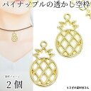 【先着!枚数限定クーポン配布!】【最大2000円OFF】マラソン限定!パイナップル チャーム 空枠 フレームチャーム 25mm 2個 フルーツチャーム レジン枠...