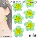【最大2000円OFF】マラソン限定クーポン!デコパーツ プルメリア 20mm 6個 ライトグリーン 花 フラワー カボション 樹脂製 貼り付けパーツ ハワイアン 南国 夏 ハンドメイドパーツ うさぎの素材屋さん アクセサリー パーツ