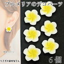 【最大2000円OFF】マラソン限定クーポン!デコパーツ プルメリア 20mm 6個 ホワイト 白色 花 フラワー カボション 樹脂製 貼り付けパーツ ハワイアン 南国 夏 ハンドメイドパーツ うさぎの素材屋さん アクセサリー パーツ