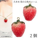 【最大2000円OFF】マラソン限定クーポン!イチゴ チャーム 24mm 2個 大きめ アクリルチャーム リアル 苺 立体 ハンドメイドパーツ うさぎの素材屋さん 果物 フルーツチャーム 食べ物 ストロベリー アクセサリーパーツ