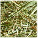 お試し 北海道産チモシー 2番刈り 牧草 100g