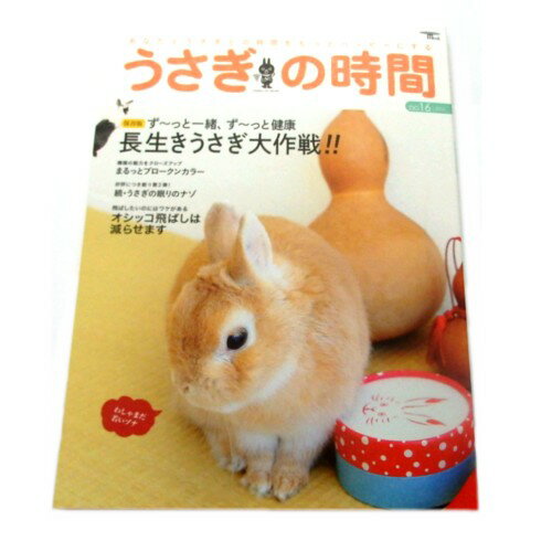 うさぎの時間 16号