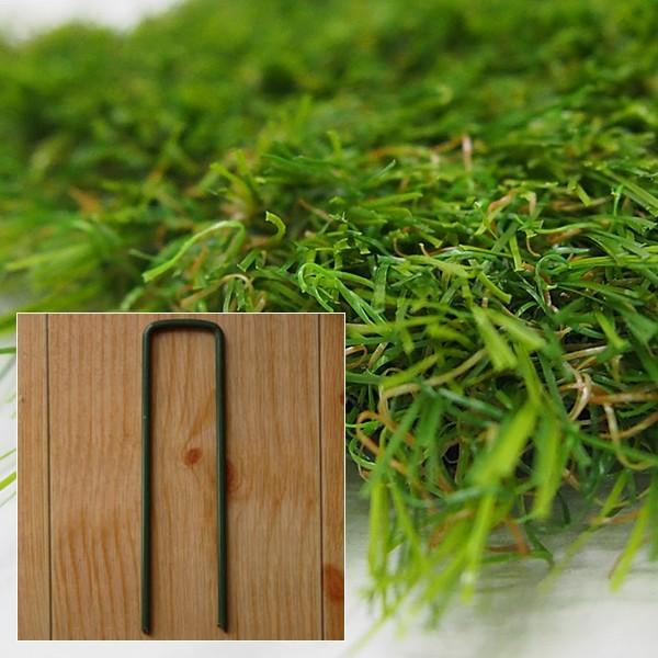 �����奯���ݥ�������� �� �͹����� ���� ���� �͹��� ���� ���� ���� �� ���饦��� �� �����ǥ� �����ǥ˥� �ܹ� ���� diy ���� �������� �ޤ�...