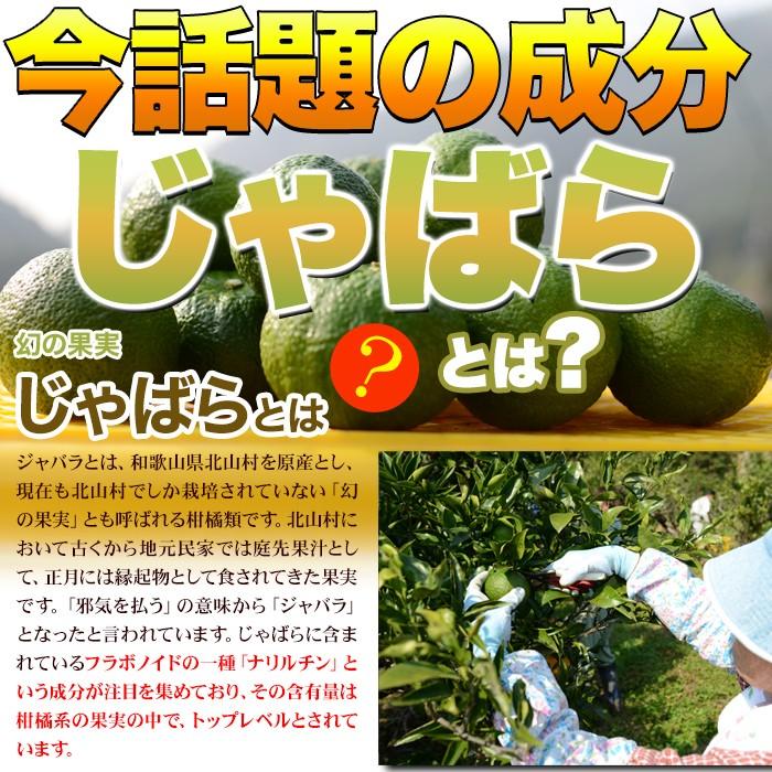 【先着クーポン配布中】 じゃばらサプリメント 天然ハーブ サプリ 柑橘系 果実 ナリルチン 植物繊維 ジャバラエキス マヌカハニー フラボノイド 大容量 安心 安全 国産 日本製 錠剤 アイブライト エルダーフラワー ワイルドチェリー セルロース クエン酸 usagiya-itto-10000071 【うさぎ屋】 インテリア&DIY サンプル画像2