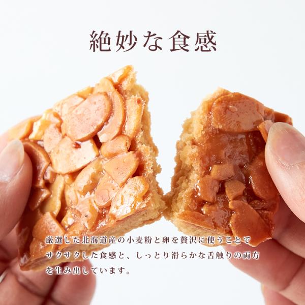 �����奯���ݥ�������� �ե���󥿥� 1kg ������ �βۻ� �Ƥ��ۻ� �������� ����� ��̣���� �������� ˪̪ �ϥ��ߥ� �Ϥ��ߤ� ��� ���ۻ� ������ ���� ��