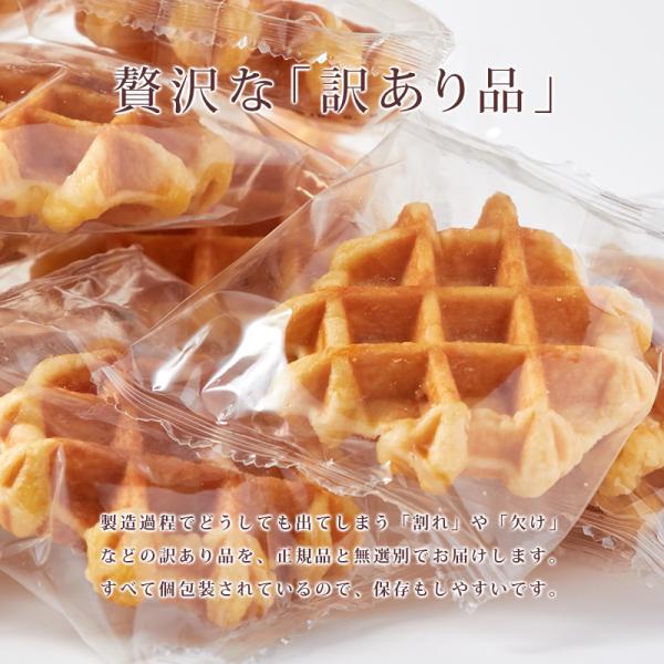 �����奯���ݥ�������� ��åե� 1kg ������ �٥륮����åե� �ץ졼�� �βۻ� ���ۻ� ����� �� ���� ������¤ ��̣���� ������ �������� �ϥ��ߥ� ˪̪ ����