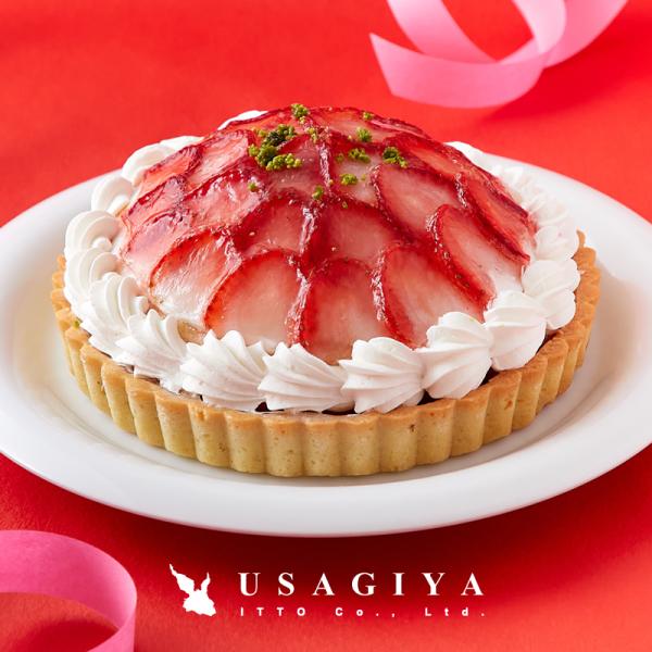 苺タルト いちごタルト ケーキ ストロベリータルト 苺ケーキ ホール 5号 冷凍 スポンジ ジュレ ピスタチオ ホイップクリーム イチゴケーキ