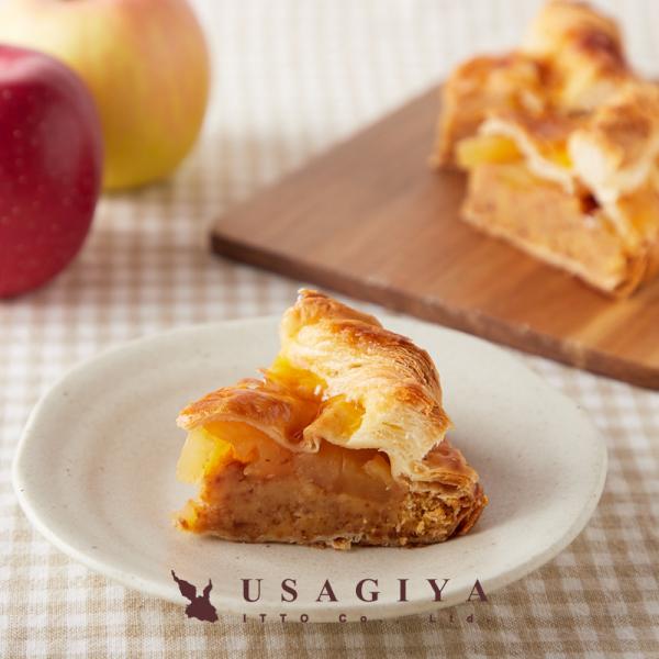 アップルパイ リンゴパイ りんご 林檎 ケーキ ホール 5号 国産りんご ソフトアップルパイ パイ生地 美..