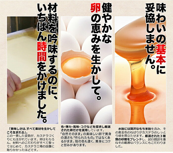 【先着クーポン配布中】 カステラ 切り落とし 長崎カステラ 切り落し 切れ端 美味しい おやつ お茶請け 濃厚 国産 無添加 無着色 無香料 プレーンカステラ