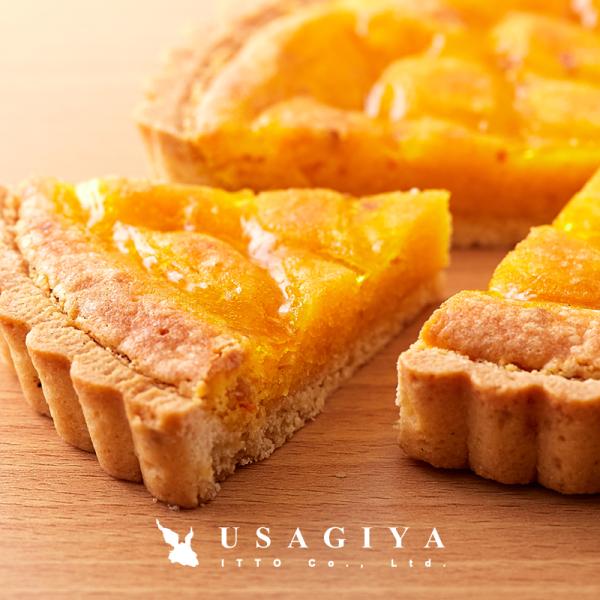 タルトケーキ 5号 ホール ケーキ オレンジ あんず 杏 保存料不使用 人工甘味料不使用 ビスキー生地 ジ..