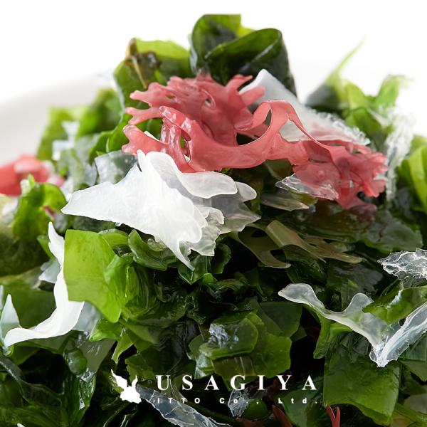 海藻 わかめ 増える 若布 ワカメ 糸寒天 かんてん 白きくらげ 木耳 青つのまた 赤 湯戻し不要 ザル不要..