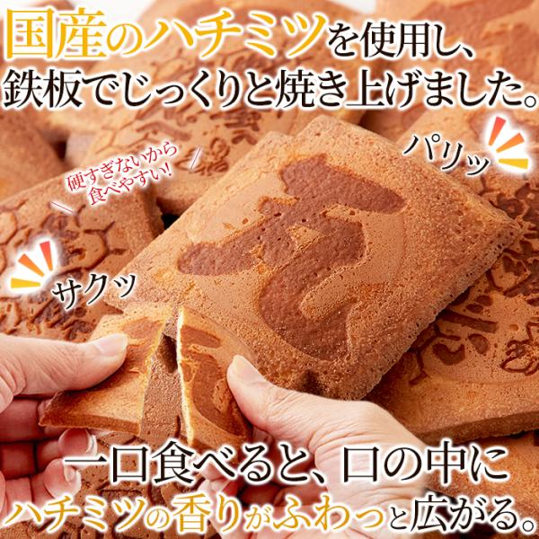 �����奯���ݥ�������� ������٤� ������ ˪̪���� �Ϥ��ߤ� �ϥ��ߥ� �� ���Ѥ� ����ץ� ��̣���� ����� ���ۻ� �²ۻ� ����٤� ���� ������ ������ ��ʬ��