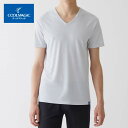 【送料無料】 グンゼ メンズ インナー【鹿の子編み Vネック Tシャツ(M/L/LL)】GUNZE 男性 紳士 男子 下着 肌着 インナー 半袖 Tシャツ セー...