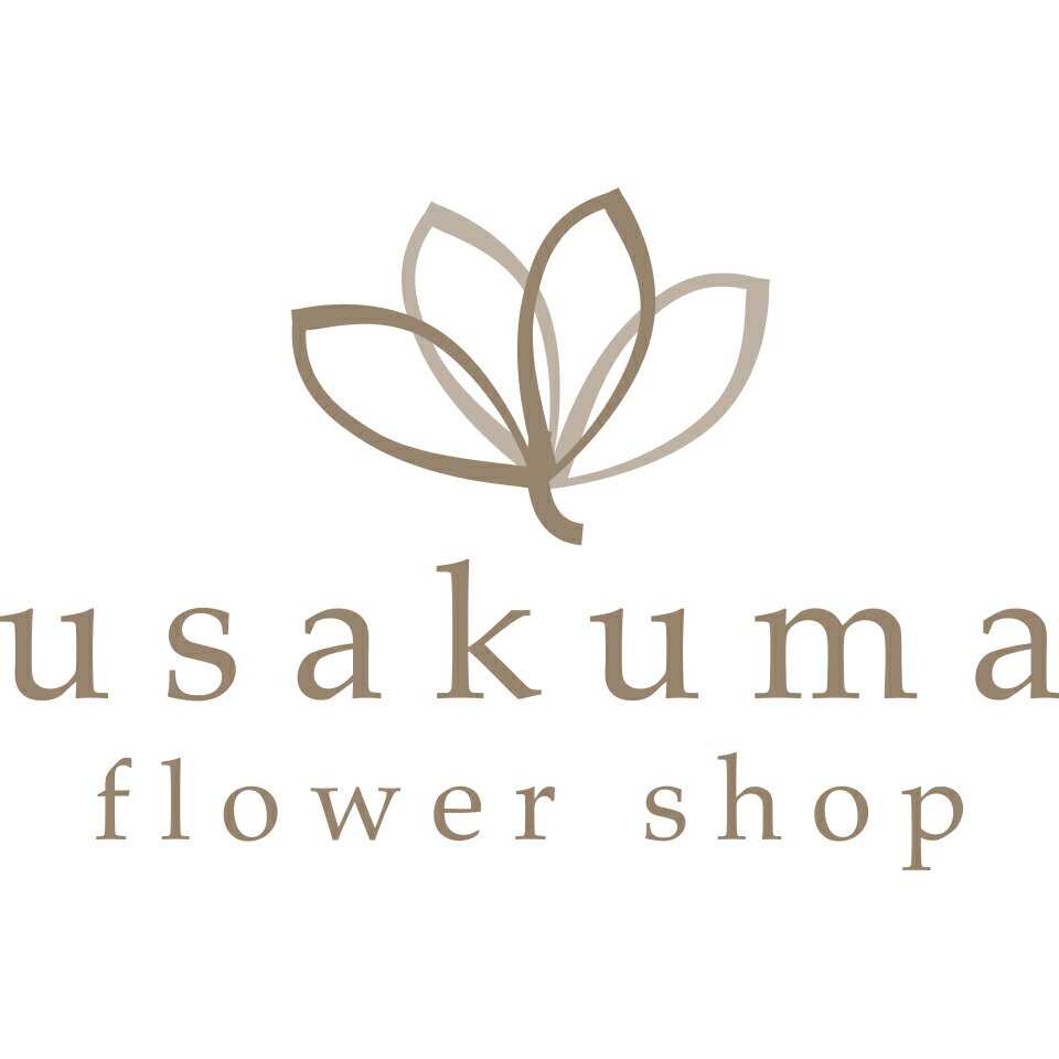 Shop icon