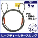 コンドーテック セーフティーカラースリング(玉掛) 12mm×5m 05203SC1205 スリング カラースリング ワイヤー 怪我防止 安全
