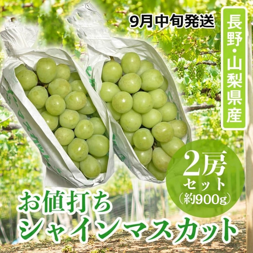 Zint 葡萄 シャインマスカット 巨峰 シャインマスカットと巨峰の産地直送