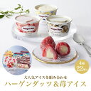 200円OFFクーポン お中元 ギフト 2025 ハーゲンダッツ&苺アイス 4種22個入 御中元 夏ギフト アイス セット 詰め合わせ
