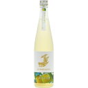 盛田金しゃち酒造 金鯱 ベルガモットオレンジ酒 500ml 1本 果実酒 オレンジ酒 おれんじ 1本 リキュール