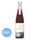 盛田金しゃち酒造 金鯱 巨峰酒 500ml 6本 果実酒 巨峰酒 葡萄 ぶどう ブドウ 6本 セット リキュール