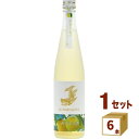 盛田金しゃち酒造 金鯱 ベルガモットオレンジ酒 500ml 6本 果実酒 オレンジ酒 おれんじ 6本 セット リキュール
