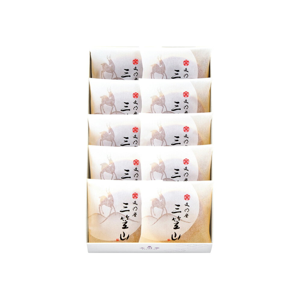 文明堂 ギフト どら焼き 三笠山 10個入 熨斗対応 のし お菓子 贈り物 お歳暮 年賀 内祝 御礼 お祝い 法事 スイーツ 個包装のサムネイル