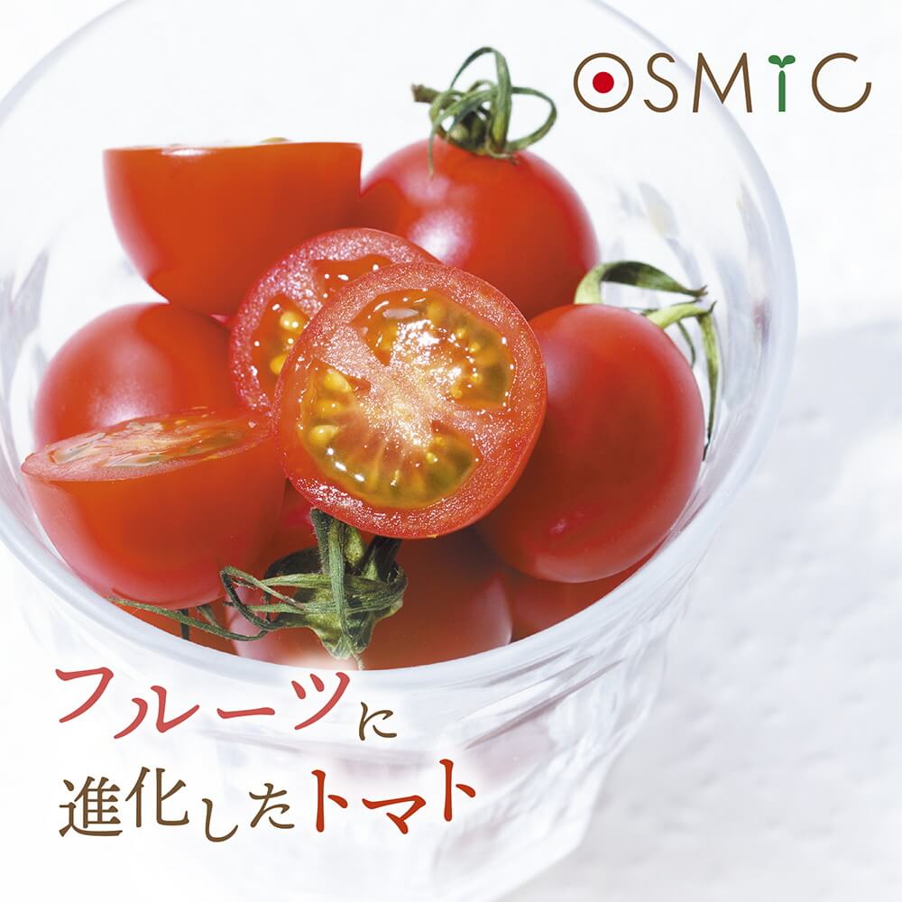 高糖度フルーツトマト 笠岡市 野菜 高糖度トマト OSMIC