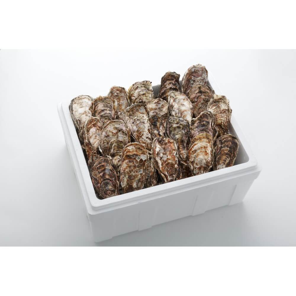 広島牡蠣 殻付 広島 海産物 アミスイ 殻付牡蠣 5kg入 (30～40個