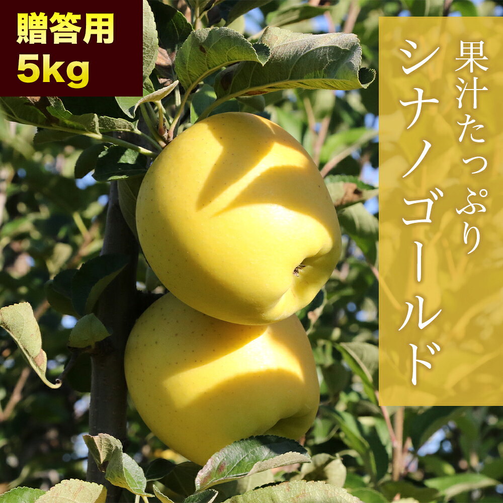 RED APPLE 【青森直送 11月上旬より順次出荷】 シナノゴールド 贈答用 5kg りんご 果物 旬 フルーツ 産地直送 ギフト