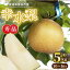 予約販売・8月上旬発送 シャリシャリ! とよたの梨 幸水梨 愛知県豊田市産 約5kg 秀品 10〜16玉 クール便 丸進青果セレクト 和梨 5,780円