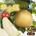 予約販売・8月上旬発送 シャリシャリ! とよたの梨 幸水梨 愛知県豊田市産 約2kg 秀品 6~8玉 クール便 丸進青果セレクト 和梨