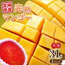 感動の味わい 完熟マンゴー 宮崎県産 約450g以上 等級青秀以上 大玉 3Lサイズ 1パック 丸進青果セレクト 果物 果実 マンゴー 宮崎 フルーツ