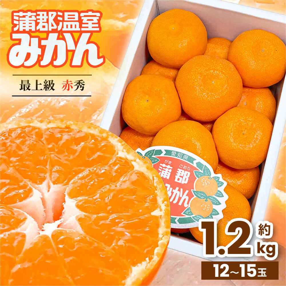 絹肌みかん 蒲郡温室みかん 全国2位 愛知県蒲郡市産 約1.2kg 最上級秀品 12～15玉 ハウス栽培 クール便 丸進青果セレクト 果物 蜜柑 柑橘 ハウスみかん