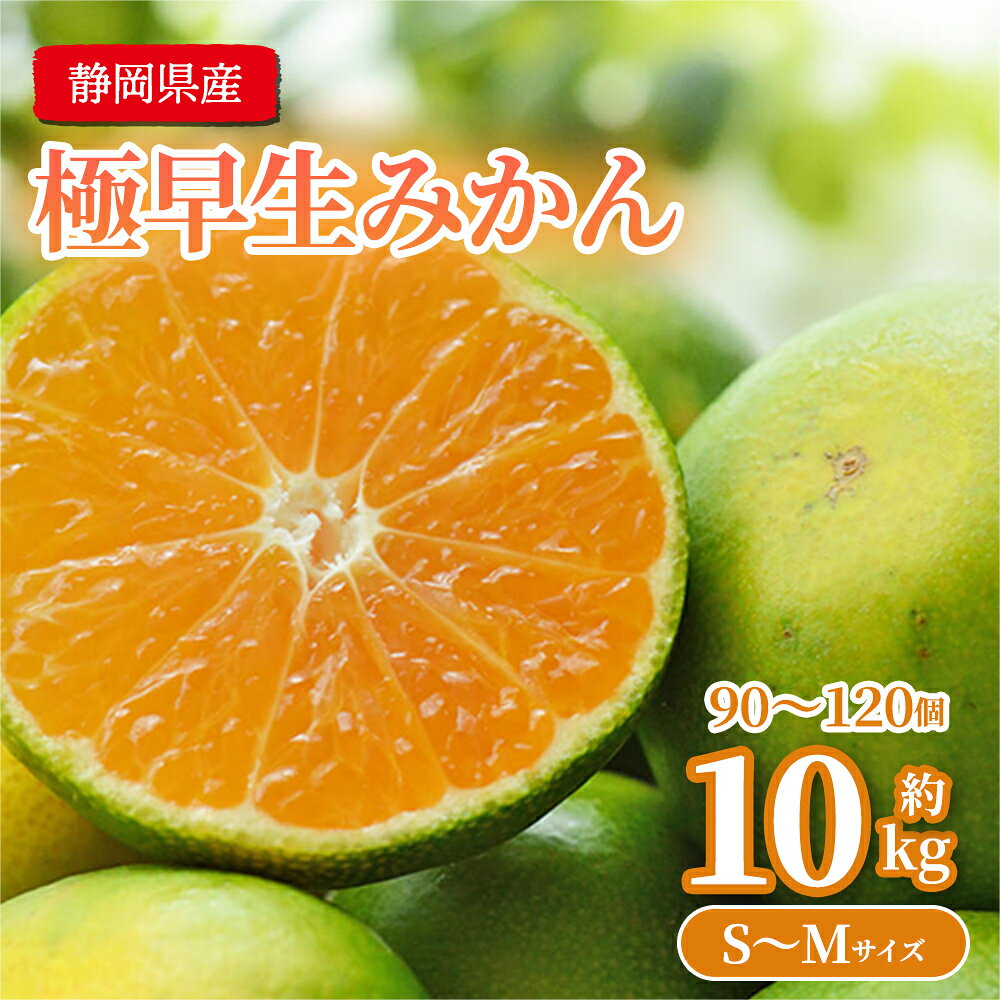 10月下旬発送お値打ち品 極早生 みかん 静岡県産 約10kg S〜Mサイズ 約90〜120個 優品以上 丸進青果セレクト 蜜柑 みかん ミカン 静岡 名産 お正月 甘い 大容量 大量