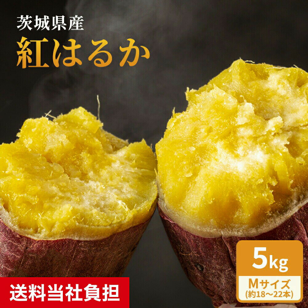 新物 紅はるか 甘いさつまいも 茨城県産 約5kg Mサイズ 約18〜22本 丸進青果セレクト 丸進青果 さつまいも さつま芋 芋 スイートポテト 紅はるかのサムネイル