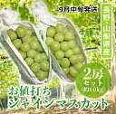 200セット限定・ 9月中旬発送 お値打ち品 シャインマスカット 長野県・山梨県産 約1kg 2房 秀品 クール便 丸進青果セレクト 葡萄 ぶどう マスカット お得 限定品 フルーツ 旬 季節もの