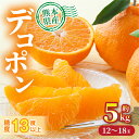 デコポン 熊本県産 約5kg 12～18玉 糖度13度以上 等級優以上 デコポン でこぽん みかん 蜜柑 旬の果物 甘い 国産 熊本