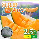 【7月中旬以降お届け】特大 富良野赤肉メロン (2.5kg以上) 1玉 メロン めろん 北海道 富良野 特大 赤肉 旬の果物