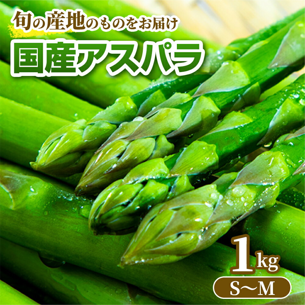 【旬の産地のものをお届け】国産アスパラ S～M 1kg アスパラ アスパラガス あすぱら 国産 家庭用 1kg 1キロ