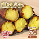 さつまいも 5kg 紅はるか 茨城県産 30~35本前後 Sサイズ 甘い DXもしくは通常品 サツマイモ さつま芋 ねっとり しっとり 焼き芋にぴったり