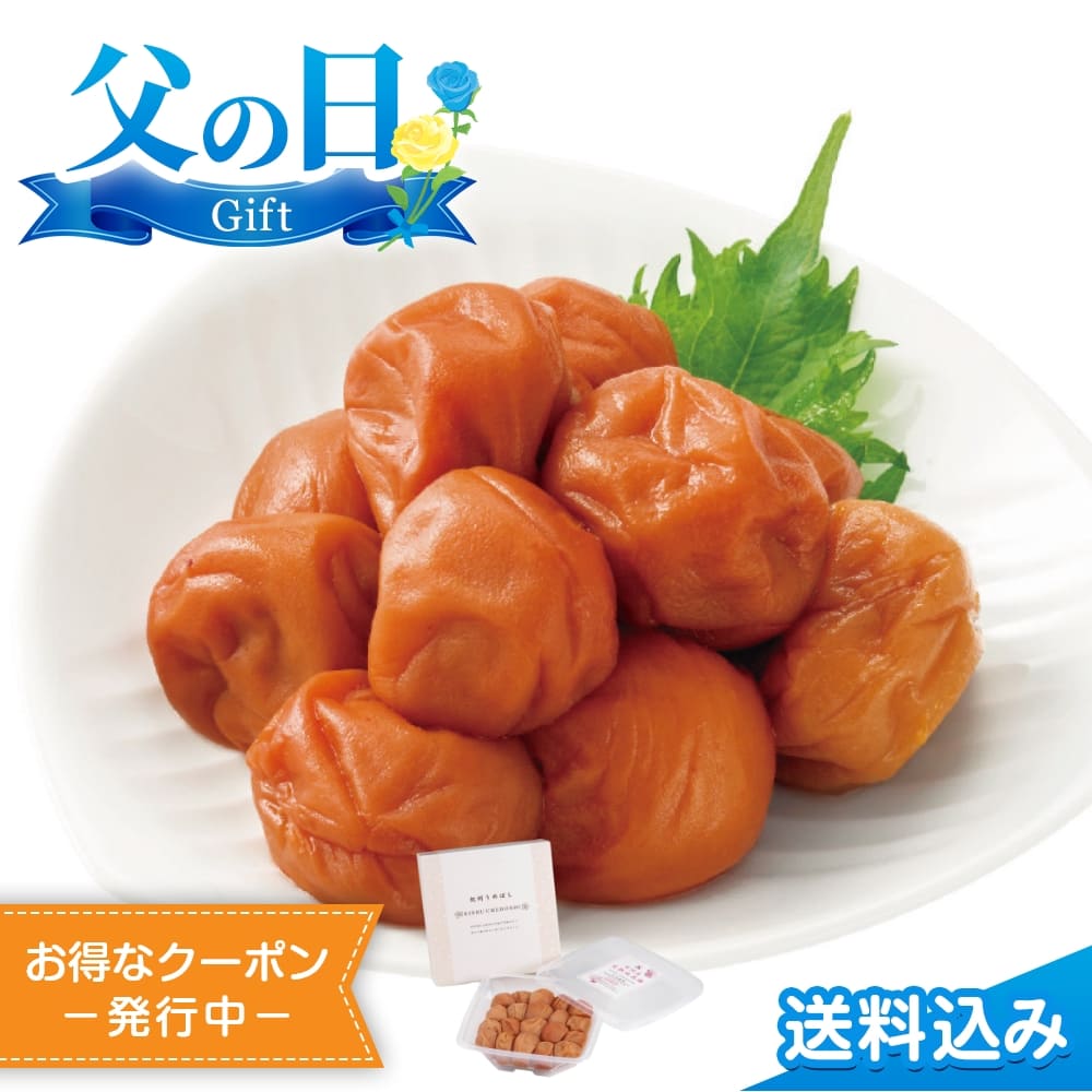父の日2025 ギフト 紀州産 完熟南高梅 うす塩味 計600g 紀州 南高梅 梅干し 完熟 うす塩 塩分5% 甘さ