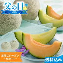 父の日2025 ギフト 2色のメロン詰合せ 2種2玉入 計約1400g メロン 詰め合わせ 2色 青肉 赤肉 食べ比べ フルーツ