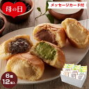 セット・詰め合わせ 母の日2024 広島 八天堂 くりーむパン 6種12個入 ギフト クリームパン 菓子パン セット 詰合せ 贈り物