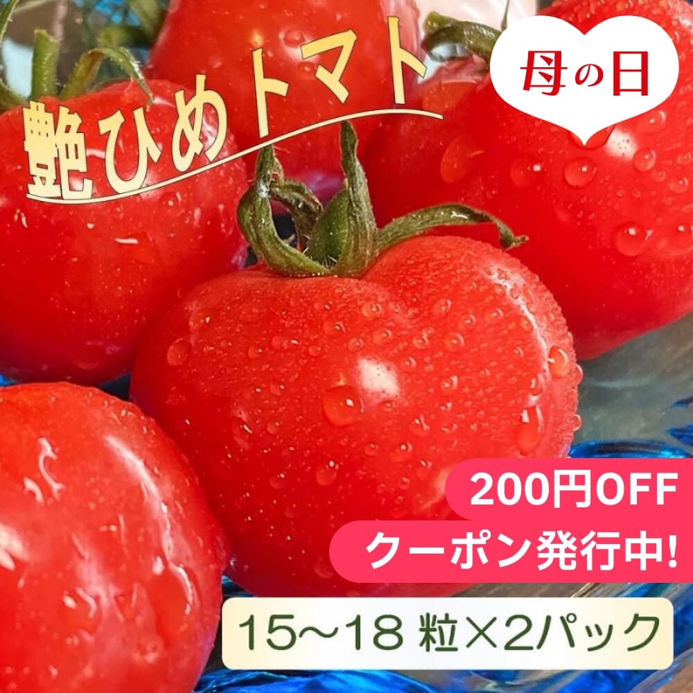 母の日2024 艶ひめトマト 愛知県産 15～18粒 2パック ギフト トマト とまと 2パック 愛知 セット 詰合せ