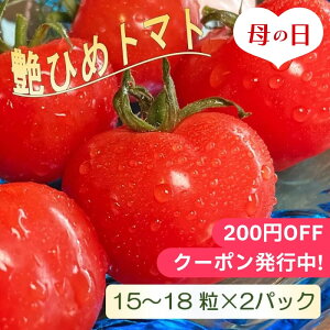 母の日2024 艶ひめトマト 愛知県産 15～18粒 2パック ギフト トマト とまと 2パック 愛知 セット 詰合せ