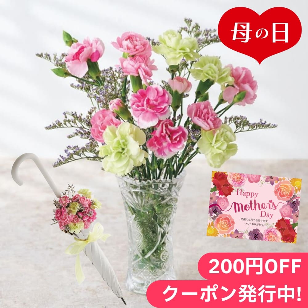 母の日2024 アンブレラ＆マザーズカーネーションの花束 ホワイト ギフト 傘 かさ 花束 白い花 セット 贈り物 感謝